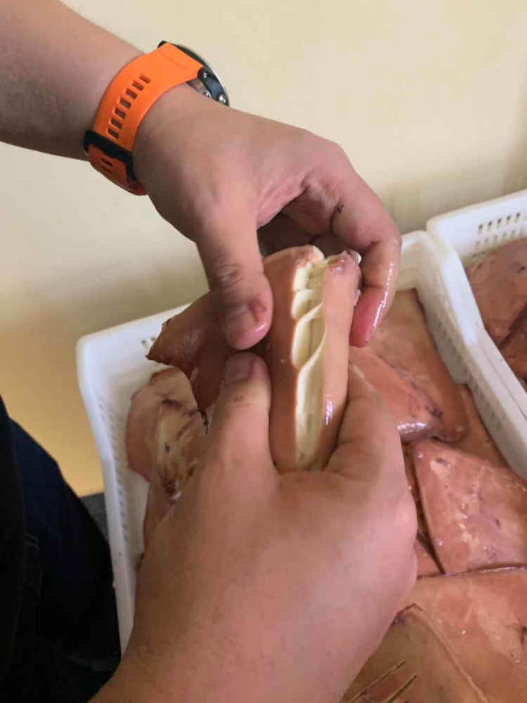 凍煮魷魚耳 FROZEN BOILED GIANT SQUID WINGS