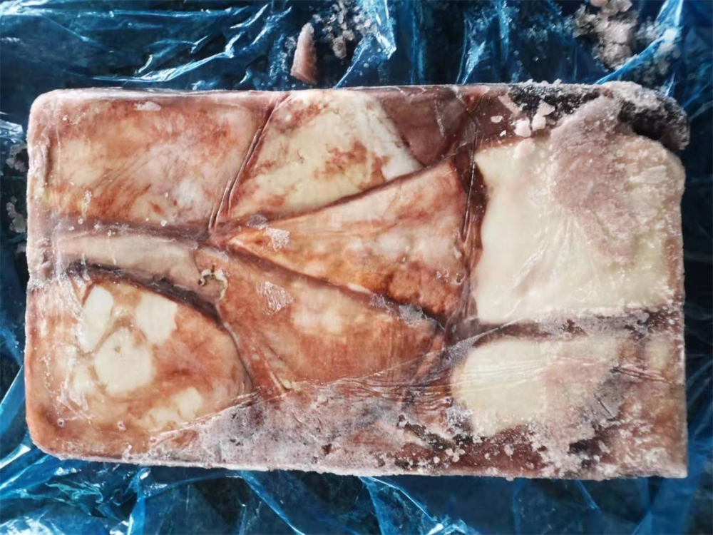 冷凍魷魚原條 FROZEN WHOLE GIANT SQUID