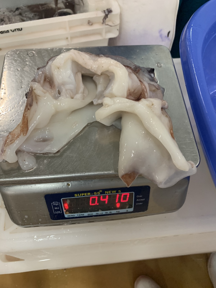 魷魚脖 FROZEN GIANT SQUID NECK
