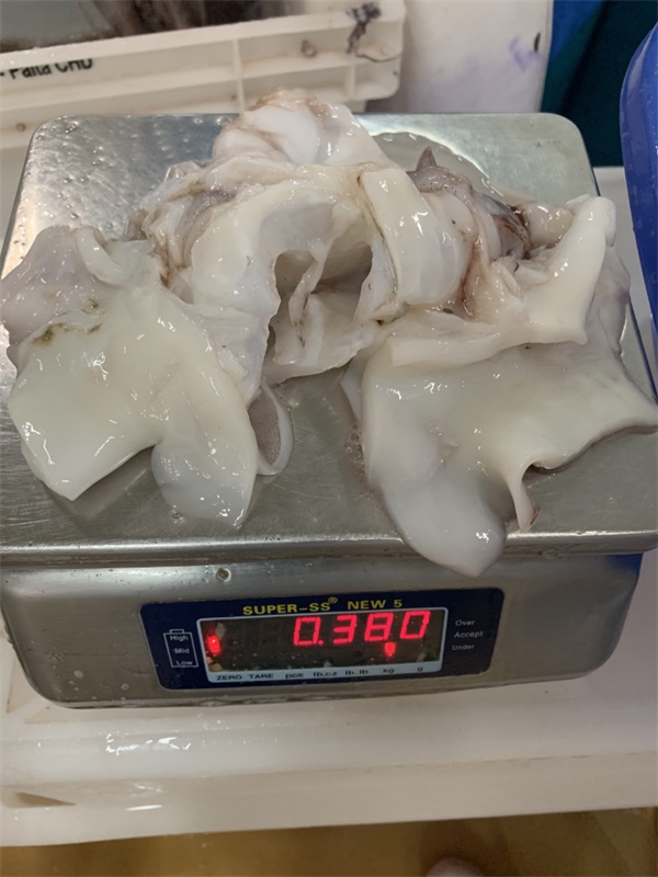 秘魯魷魚 (11).jpg